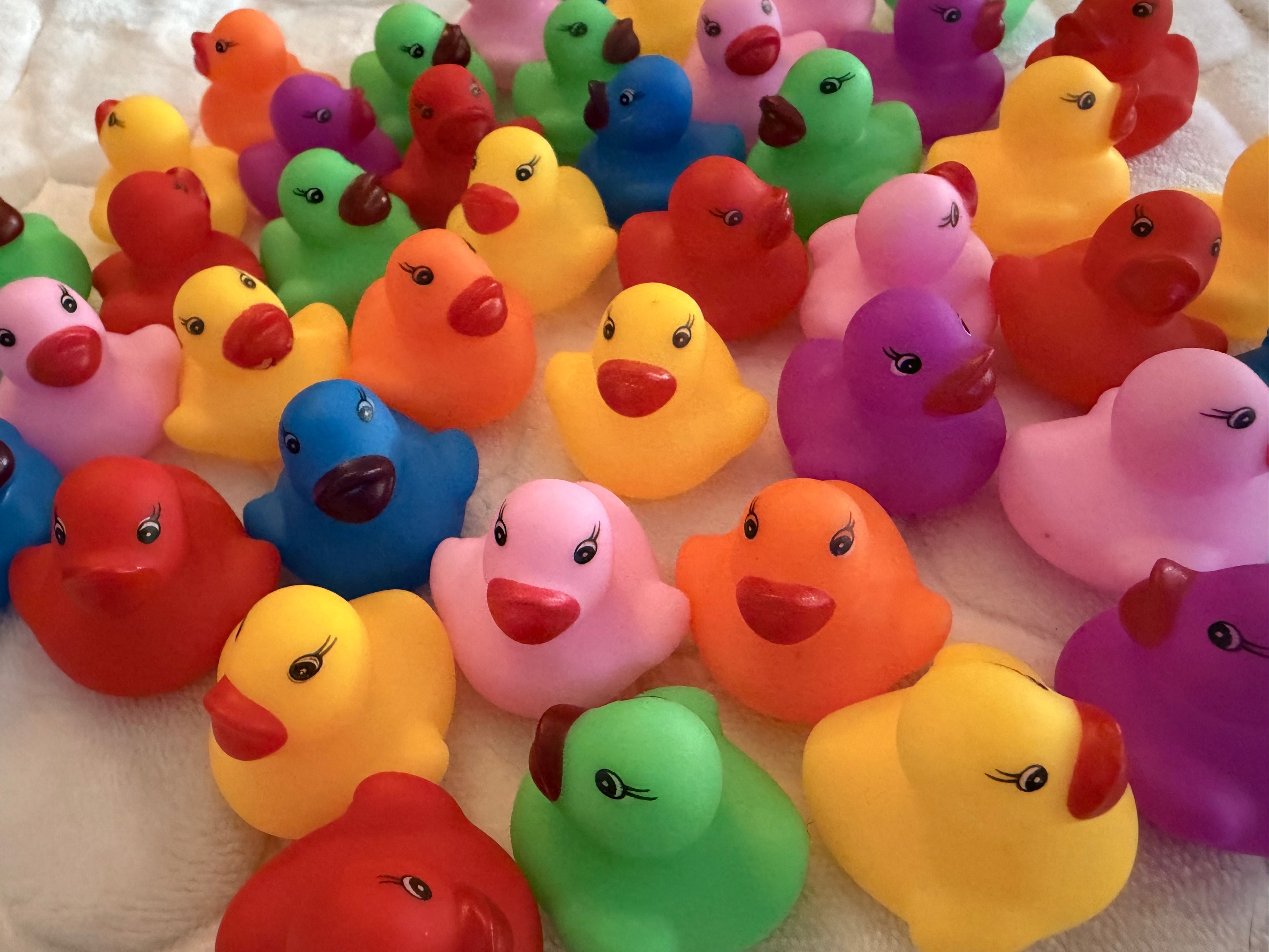 10 duck surprise bundle for cat lovers